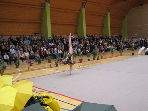 Prva Međunarodna revija ritmičke gimnastike 